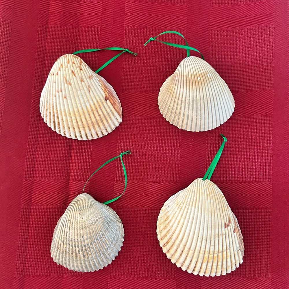 Miami Hurricanes Hand Crafted Shell Ornament Set # 1 - Picture 3 of 6